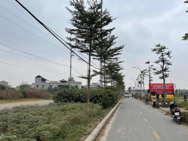 Hà Nội: Đấu giá 54 thửa đất tại huyện ngoại thành với giá khởi điểm hơn 12 triệu/m2