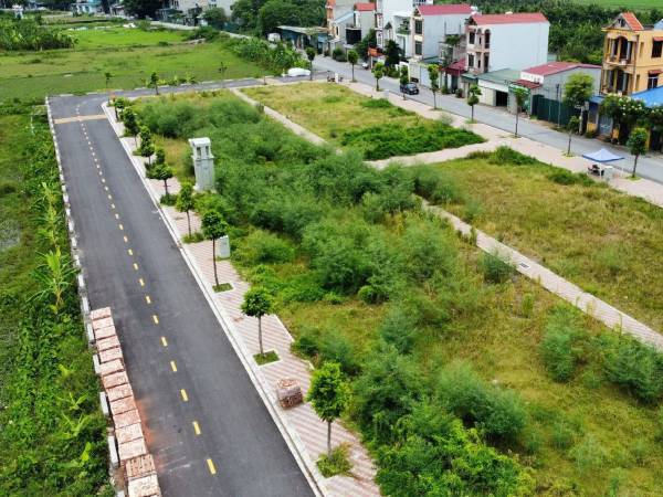 Ảnh bìa bài viết 958126