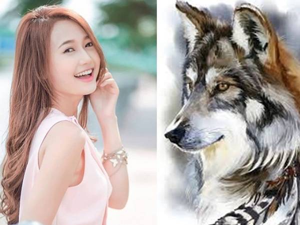 Tử vi tuổi Tuất tháng 10/2024: Được tỏa sáng với năng lực của chính mình