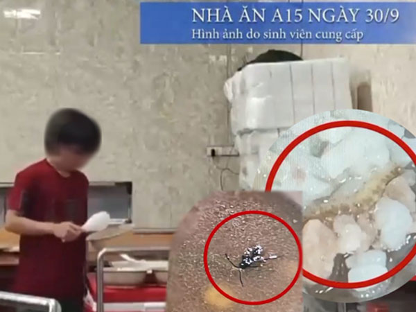 Vụ sinh viên Bách khoa phải ăn cơm canh thừa: Bếp ăn thừa nhận có gián chui vào máy thái thịt, đại diện nhà trường nói 'không thể chấp nhận'