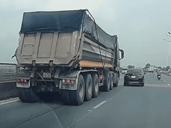 Ảnh bìa bài viết 959543