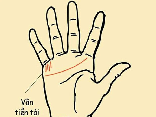Ai sở hữu tướng tay TÀI LỘC này, TIỀN tiêu cả đời không hết
