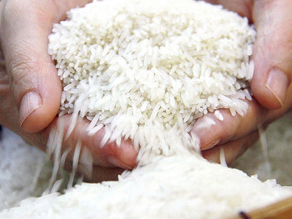 Sản lượng lớn thứ 4 thế giới, ‘xứ sở vạn đảo’ vẫn mua triệu tấn gạo Việt Nam