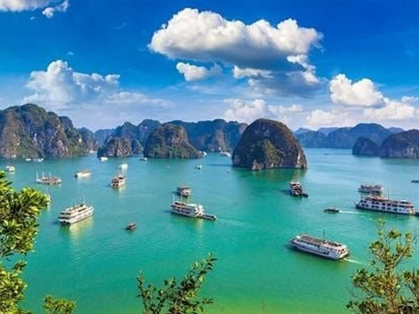 Ban đầu chọn Trung Đông, vì sao sự kiện thu hút 80.000 người tham gia, 200 tỷ phú từ châu Âu đổi ý, lựa chọn vịnh Hạ Long là điểm đến?