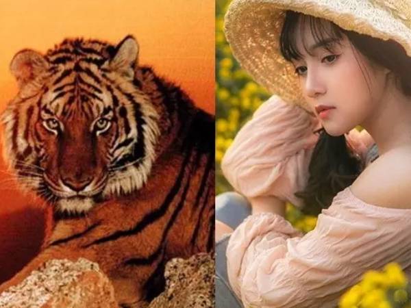 Vận mệnh người tuổi Dần theo giờ sinh: Ai có cát tinh chiếu mệnh, cuộc đời hanh thông?