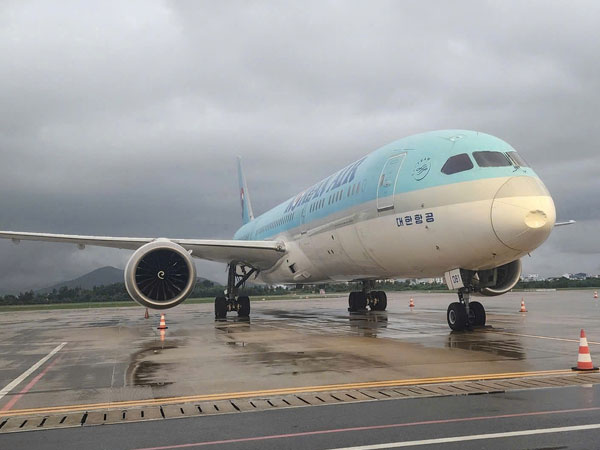 Máy bay Hàn Quốc hạ cánh Đà Nẵng bị móp đầu, nghi va phải chim trời