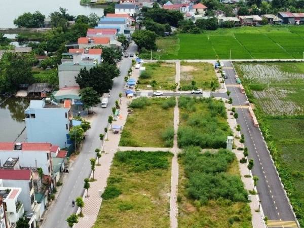 'Bỏ cọc' đấu giá đất tái diễn tác động tiêu cực đến giá cả, thị trường nhà ở