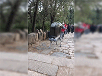 Ảnh bìa bài viết 960978