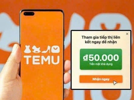 Temu chi hoa hồng 30% hút người Việt tham gia tiếp thị liên kết, chuyên gia nói không 'dễ ăn'