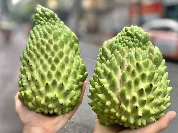 Chỉ 2 năm, loại quả Việt giá đắt nhất thành hàng bình dân bán đầy chợ
