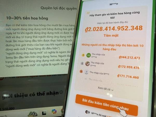 Vì sao Temu 'gây sốt' tại Việt Nam?