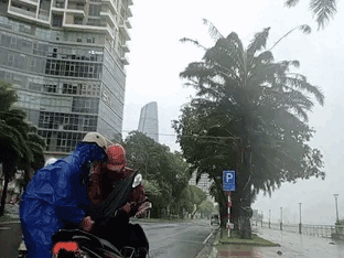 Bão Trami vào Thừa Thiên Huế - Đà Nẵng gây gió mạnh giật đổ hàng loạt cây xanh, sóng lớn, nước dâng khắp nơi