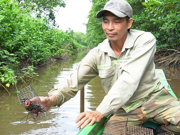 Nông dân miền Tây tiết lộ bí quyết bắt 'vua đào hang', kiếm mỗi ngày nửa triệu