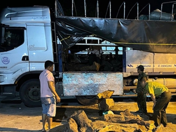 Bên trong chiếc xe tải vừa bị bắt giữ ở Quảng Bình