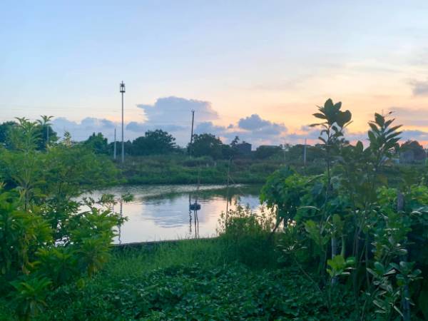 Hối hận bán 2 mảnh đất quê vẫn loay hoay chưa mua được chung cư Hà Nội