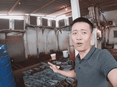 Ảnh bìa bài viết 962873