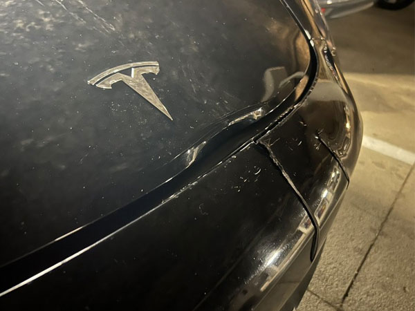 Hệ thống tự lái không phát hiện kịp, xe Tesla đâm trúng hươu trên đường