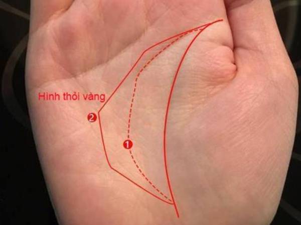 Lòng bàn tay có hình thỏi vàng - Số hưởng cả đời, giàu sang phú quý theo chân