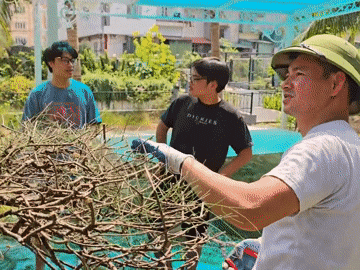 NSND Xuân Bắc khoe kỹ năng làm vườn, hai con nói một câu không ai ngờ