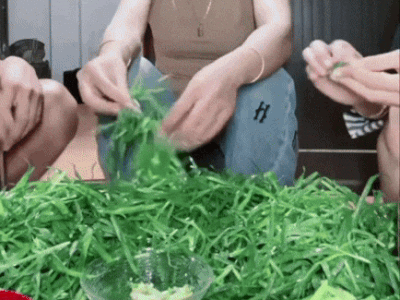 Mâm cơm toàn cỏ dại nhưng lại khiến hơn 2 triệu người thèm 'chảy nước miếng'