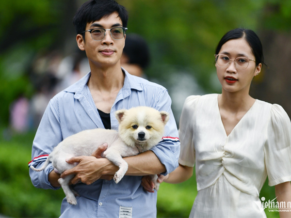 Dự báo thời tiết 8/11/2024: Miền Bắc hanh khô, se lạnh