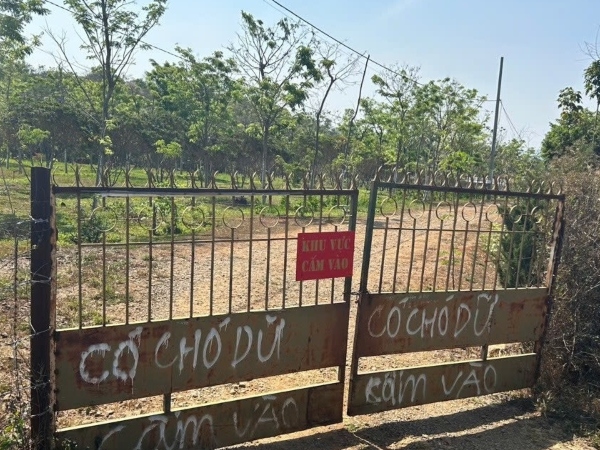 Một xã ở Đắk Lắk nhờ công an xử lý đàn chó dữ trong công trình sắp cưỡng chế