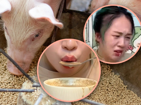 Nữ streamer gây tranh cãi khi ăn thức ăn cho lợn để tiết kiệm tiền