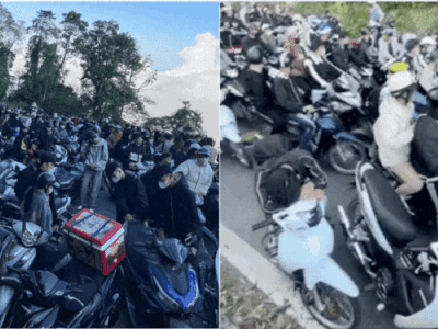 Cảnh tượng trên đường đi săn mây, ngắm hoa dã quỳ khiến nhiều người 'khóc thét'