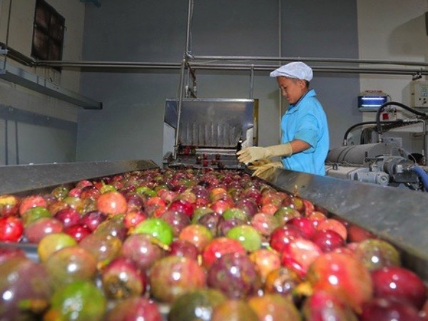 Việt Nam vừa ghi nhận một kỷ lục xuất khẩu sang thị trường Trung Quốc, mặt hàng gì mà 'hot' đến vậy?