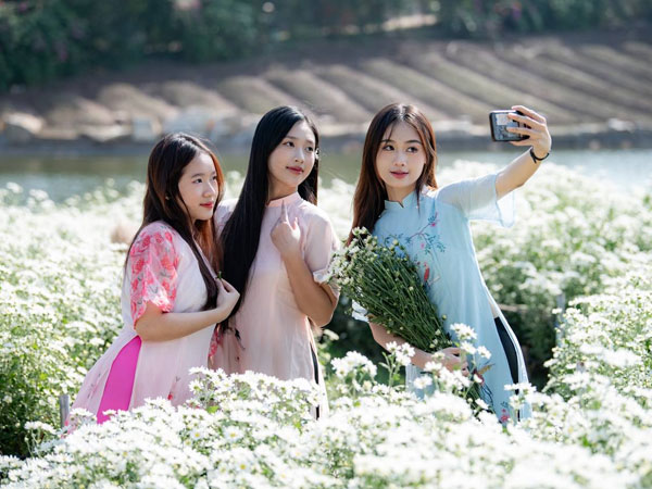 Ngỡ ngàng vườn cúc họa mi bung nở trắng xóa ở Hà Nội: Giới trẻ rủ nhau dậy sớm, mang 5 bộ đồ đi check-in