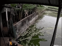 Clip bé trai 3 tuổi ngã xuống ao nước khi chơi một mình và gần 1 phút chới với dưới dòng nước khiến nhiều người thót tim