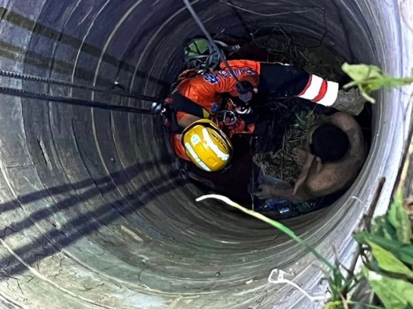 Nghe thấy âm thanh lạ từ giếng nước, mọi người sốc nặng khi nhìn xuống dưới