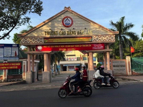 Ảnh bìa bài viết 966528