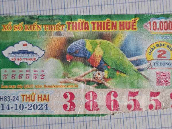 Ai có thẩm quyền xem xét trả thưởng cho vé số trúng đặc biệt bị rách rời?