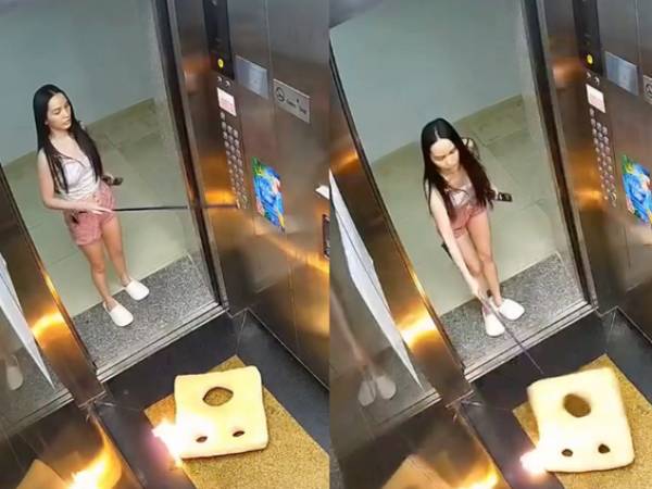 Bàng hoàng với hành động lạ của cô gái trong thang máy chung cư: Vỏn vẹn 11 giây nhưng khiến ai xem cũng phẫn nộ