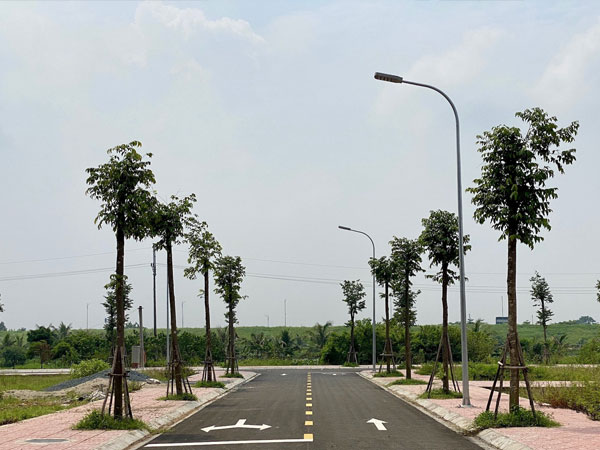 Xuất hiện lô đất đấu giá ở Hà Nội được trả tới 30 tỷ đồng/m2