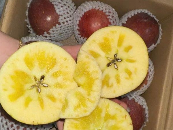 Táo mật Trung Quốc giá rẻ bất ngờ, dưa hấu còn 1.000-2.000 đồng/kg