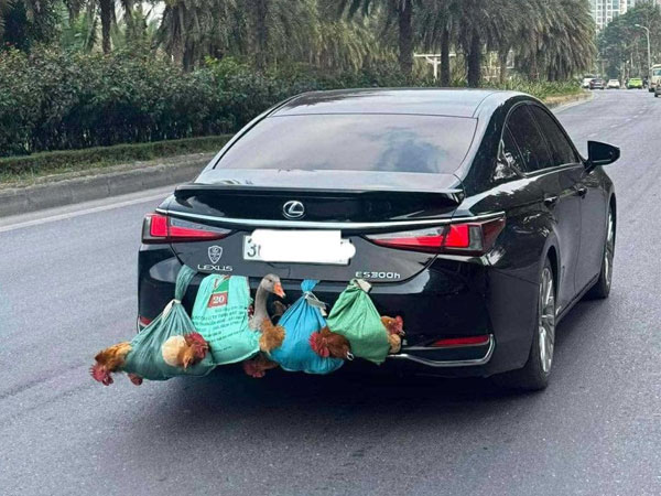 Bức ảnh chụp phía sau Lexus bạc tỷ ở Hà Nội khiến nhiều người bật cười, còn tôi lại nghẹn ngào rưng rưng