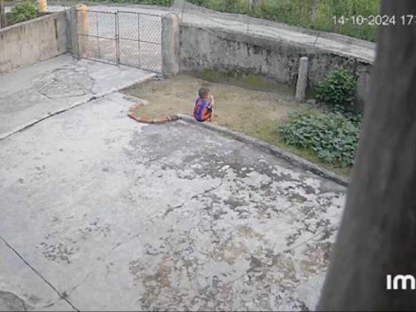 Đi làm ăn xa, mỗi ngày mẹ mở camera đều thấy cảnh con trai ngồi giữa căn nhà trống làm 1 hành động đau lòng