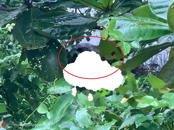 Vật chứng cuối cùng tố tội ác tày trời của kẻ sát nhân