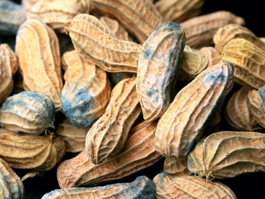 Trong nhà có 3 thứ là mầm mống 'kích hoạt' tế bào ung thư phổi, đừng tiếc rẻ mà giữ lại