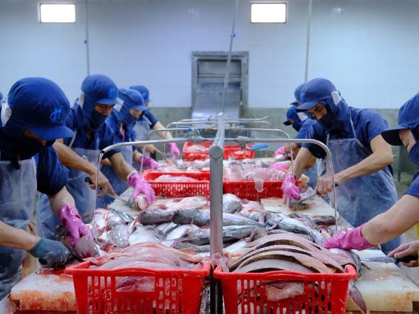 Mỹ và Trung Quốc ‘bao mua’ gần một nửa, xuất khẩu nông sản lập kỷ lục lịch sử
