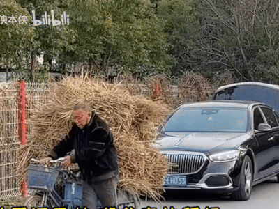 Lái maybach về quê thăm bố, con trai dở khóc dở cười khi phụ huynh yêu cầu: Mang xe ra đồng nhờ tí việc
