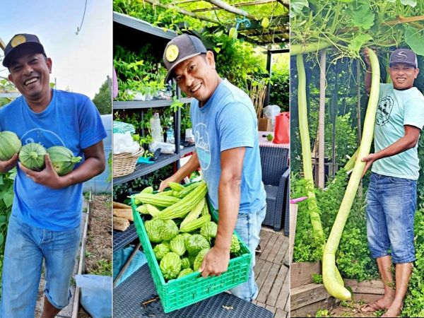 Ông bố Việt trồng vườn rau củ xanh mướt ở Pháp để nhắc nhớ hương vị quê nhà