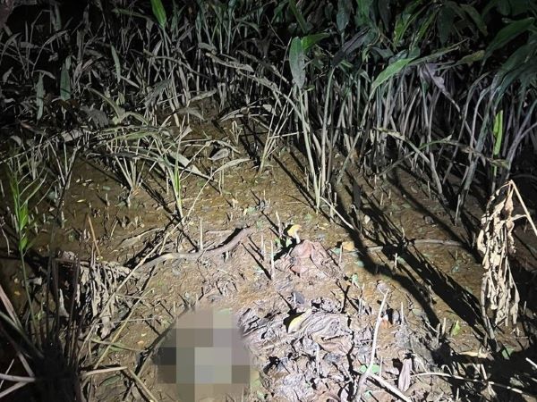 Vụ phát hiện bộ xương người dưới gầm đường dẫn cao tốc: Hiện trường có gì?