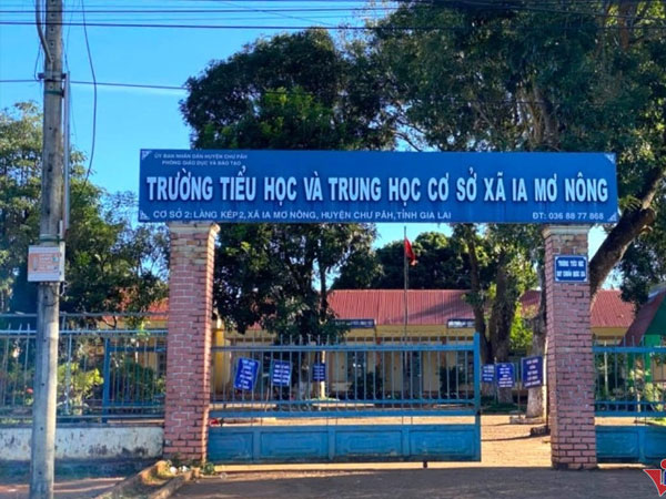 Vụ thầy giáo thuê người dạy thay: Kiểm điểm hiệu trưởng và giáo viên