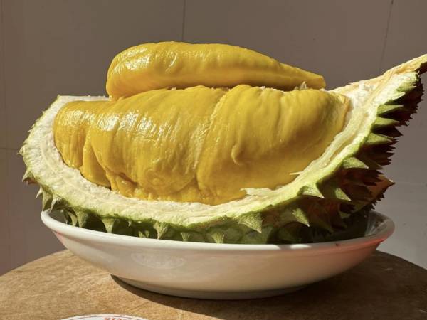 Trung Quốc chi 6,7 tỷ USD mua sầu riêng, ồ ạt chốt đơn hàng giá rẻ từ Việt Nam