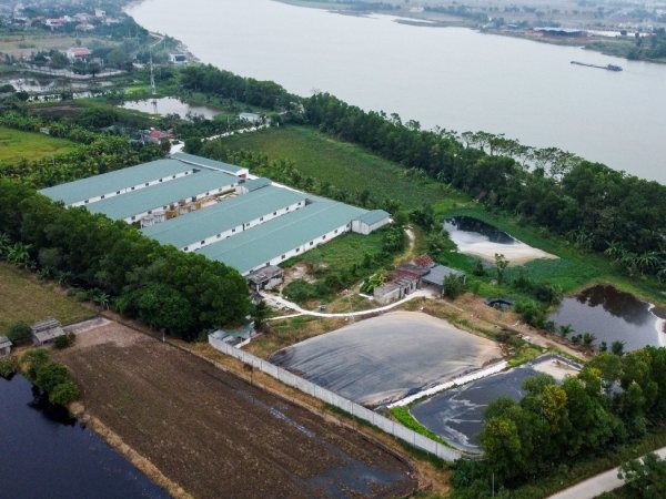Trại lợn ở Nam Định phát tán mùi hôi thối, bí thư huyện ra ‘tối hậu thư’