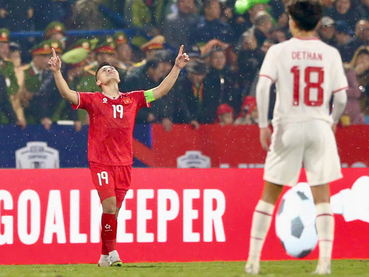 Chủ tịch LĐBĐ Indonesia nói Việt Nam 'thắng nhờ bàn may mắn'