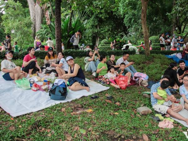 Thảo Cầm Viên Sài Gòn vẫn chưa nộp hồ sơ để gỡ vướng vụ 800 tỷ đồng thuế đất